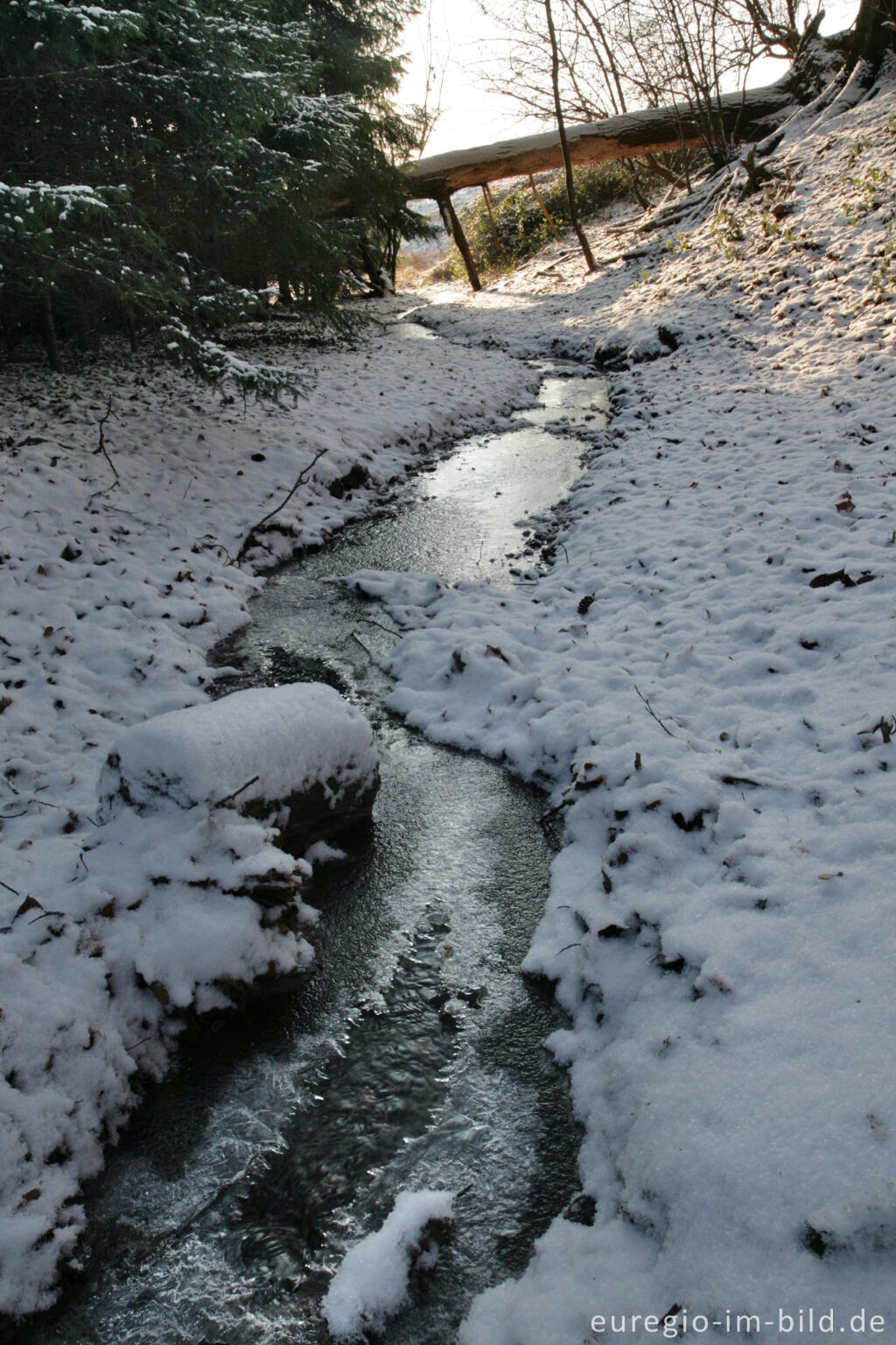 Detailansicht von Im Gasser Feld bei Aachen