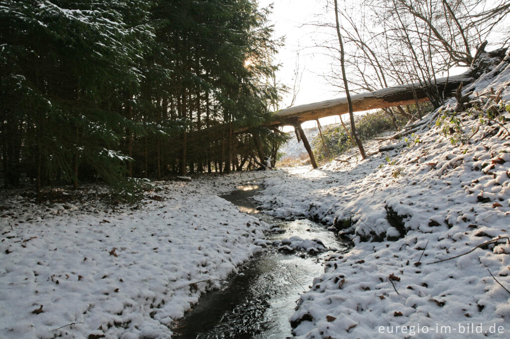 Detailansicht von Im Gasser Feld bei Aachen