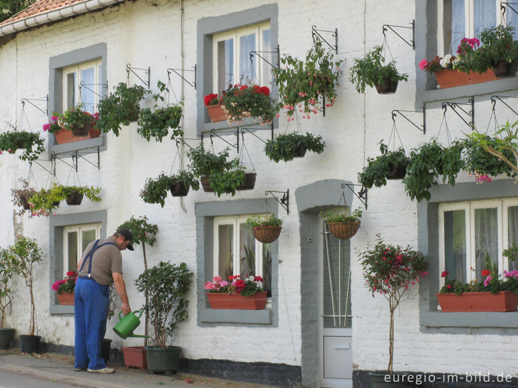 Detailansicht von Im Geultal nördlich von Plombières