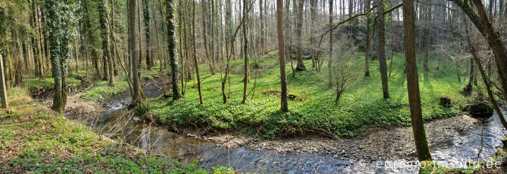 Detailansicht von Im Göhltal bei Hergenrath