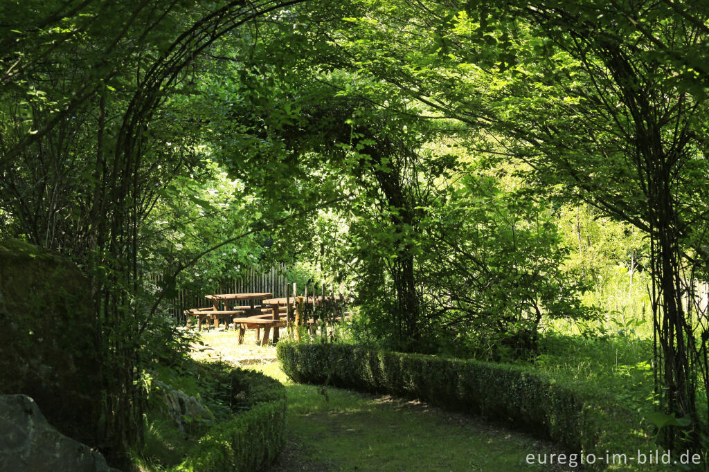 Detailansicht von Im Heilkräutergarten Herba Sana in Elsenborn bei Bütgenbach