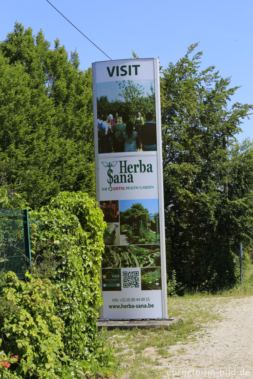 Detailansicht von Im Heilkräutergarten Herba Sana in Elsenborn bei Bütgenbach