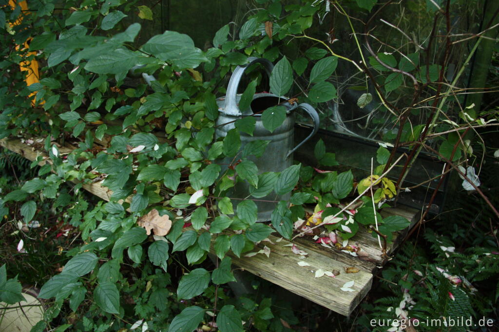 Detailansicht von Im "Hortus Dialogus" in Nideggen - Abenden