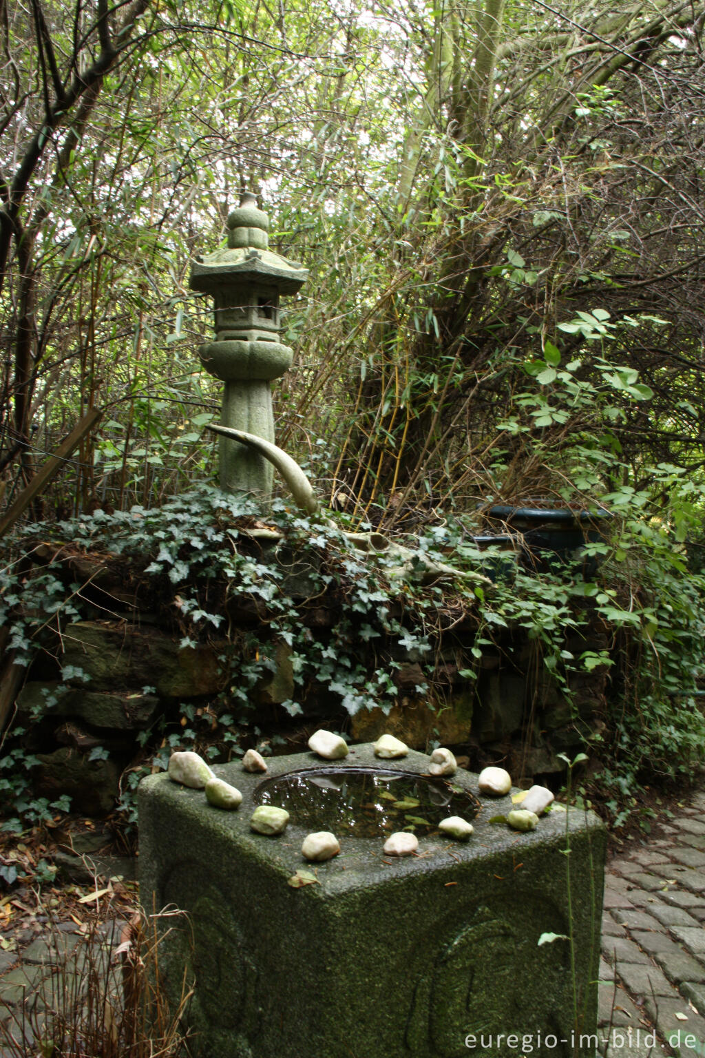 Detailansicht von Im Hortus Dialogus, Nideggen - Abenden