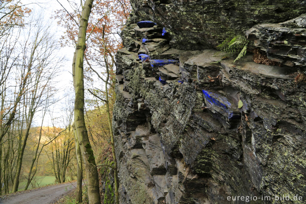 Detailansicht von Im Kalltal westlich von Simonskall, Gemeinde Hürtgenwald