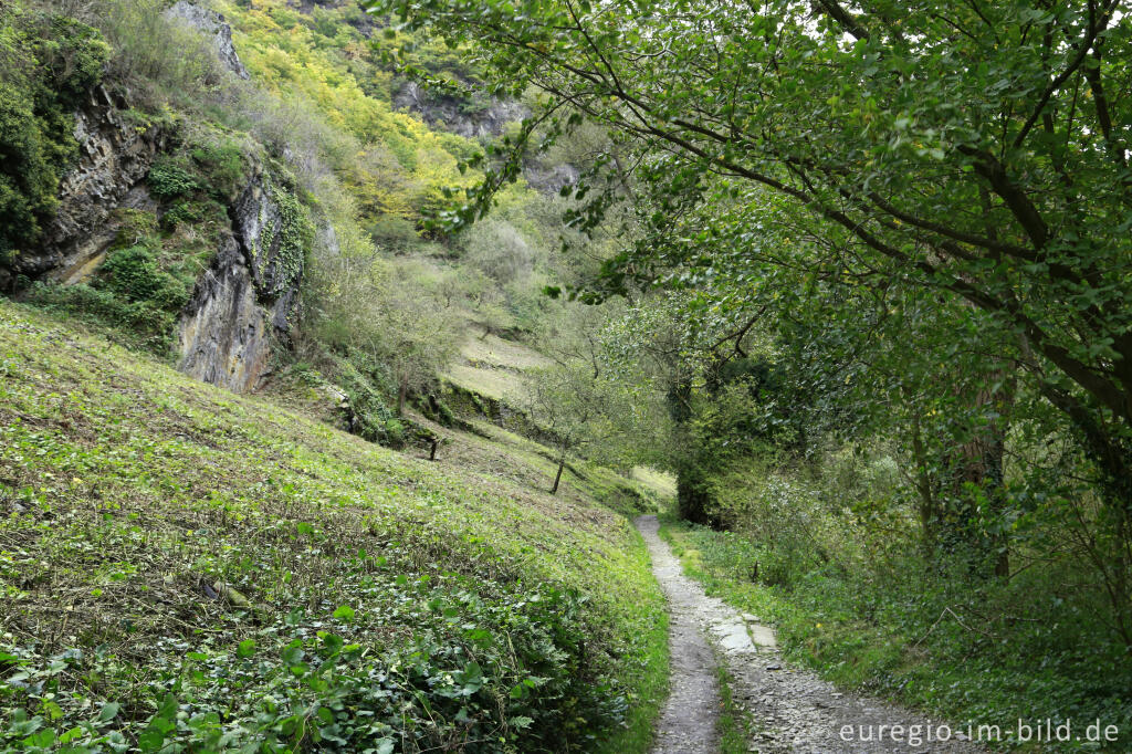 Im Langfigtal bei Altenahr (Ahrschleife)