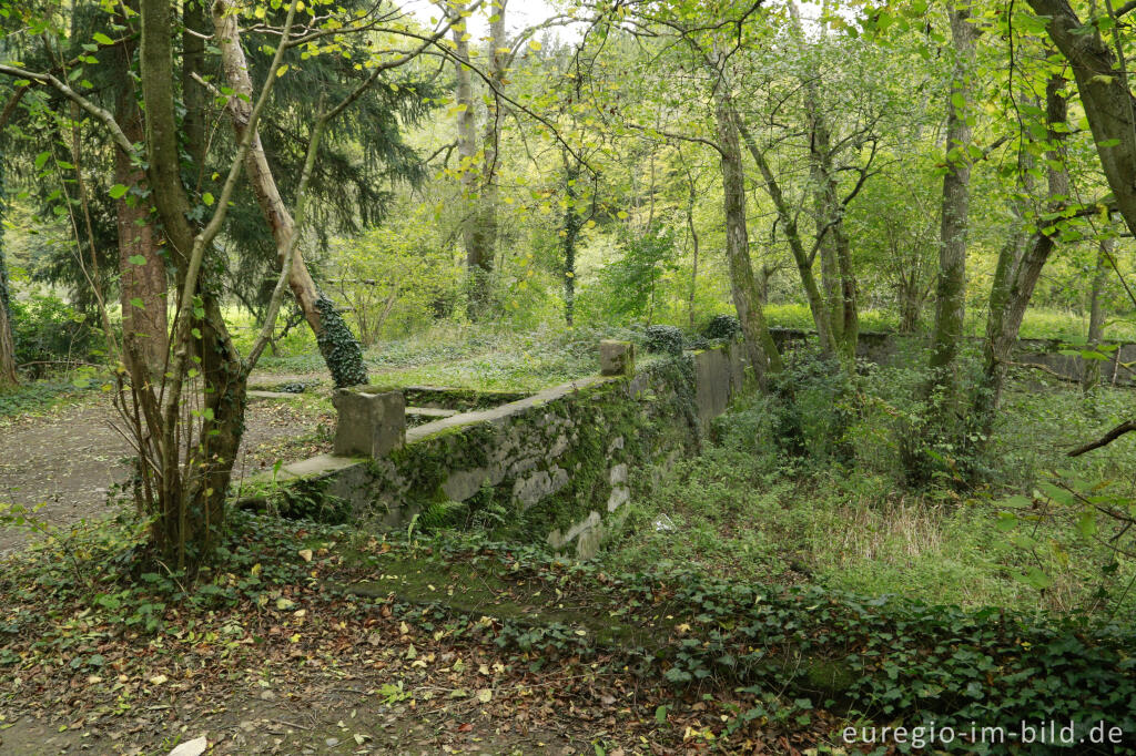 Im Langfigtal bei Altenahr (Ahrschleife)