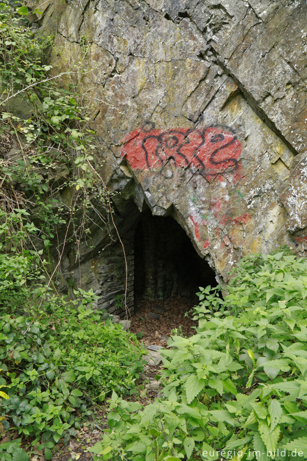 Detailansicht von Im Langfigtal bei Altenahr (Ahrschleife)