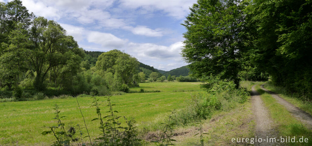 Im mittleren Ourtal zwischen Dasburg und Tintesmühle