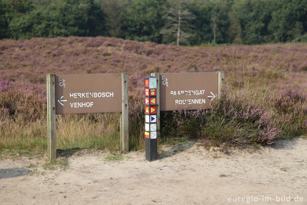 Im Naturpark "De Meinweg"