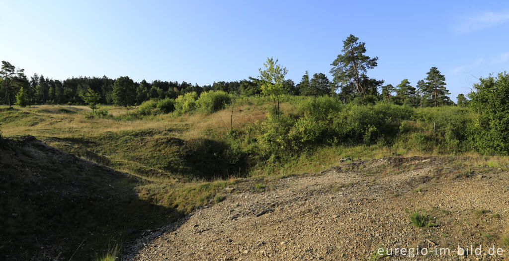 Detailansicht von Im Naturschutzgebiet Schlangenberg, zwischen Breinig und Vicht