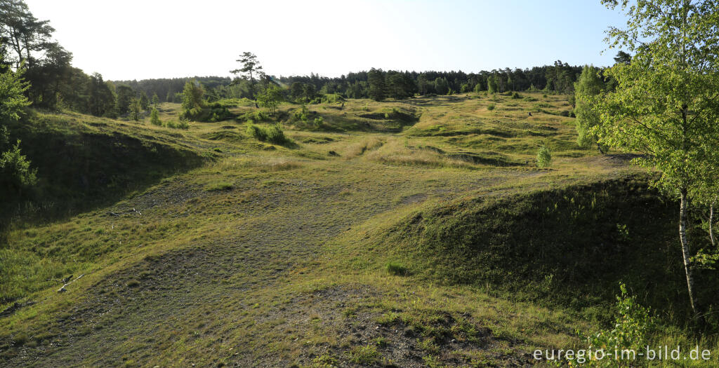 Detailansicht von Im Naturschutzgebiet Schlangenberg, zwischen Breinig und Vicht