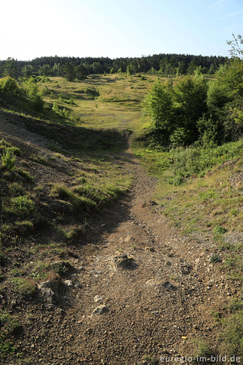 Detailansicht von Im Naturschutzgebiet Schlangenberg, zwischen Breinig und Vicht