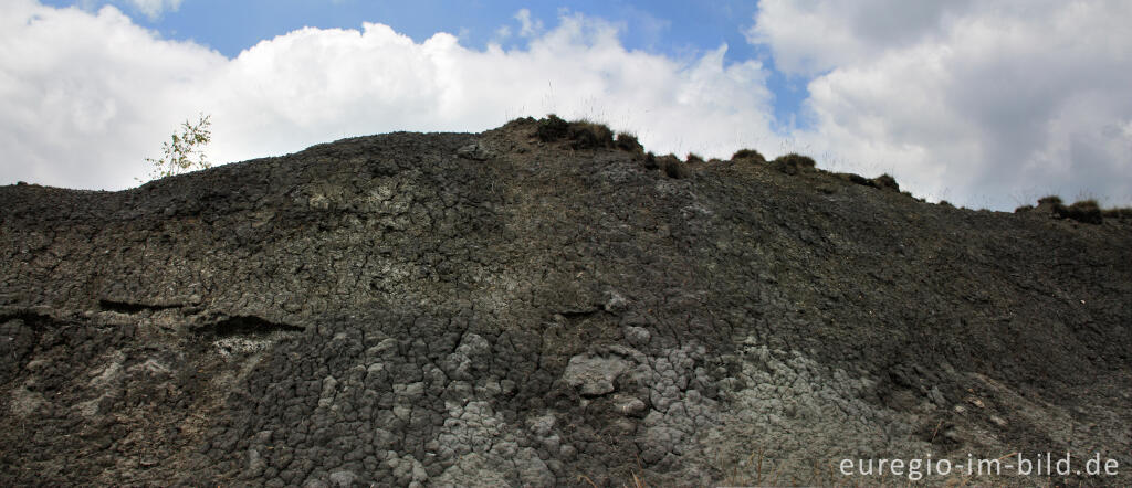 Im Naturschutzgebiet "Vieille Montagne-Altenberg", Galmeihalde bei Kelmis (La Calamine)