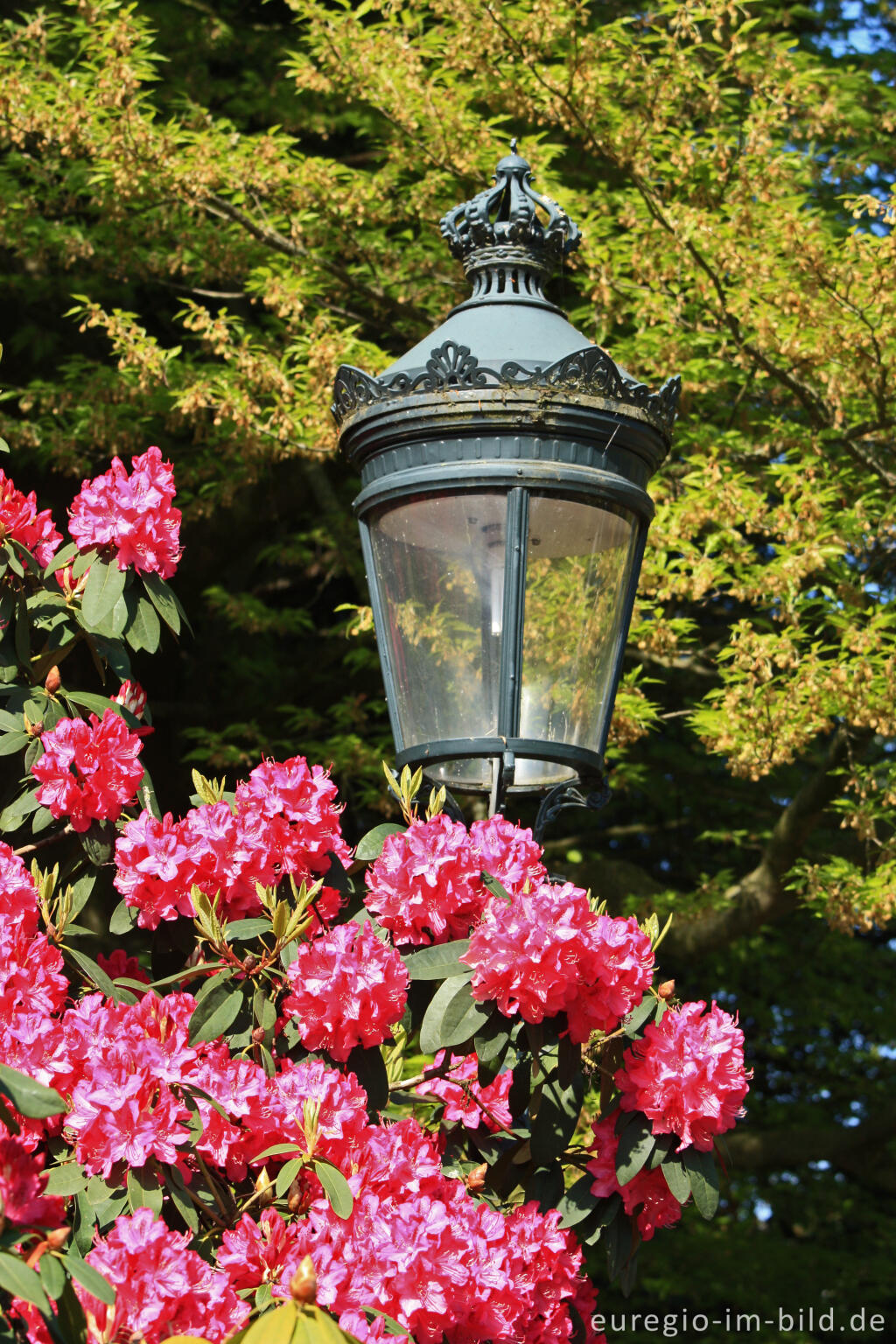 Detailansicht von Im Park bei den Königlichen Gewächshäusern von Laken (Laeken)