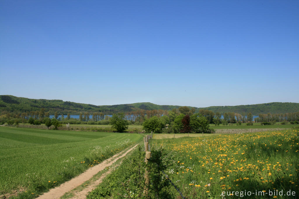 Detailansicht von Im Vulkanpark Brohltal beim Laacher See