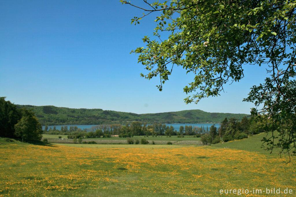 Detailansicht von Im Vulkanpark Brohltal beim Laacher See