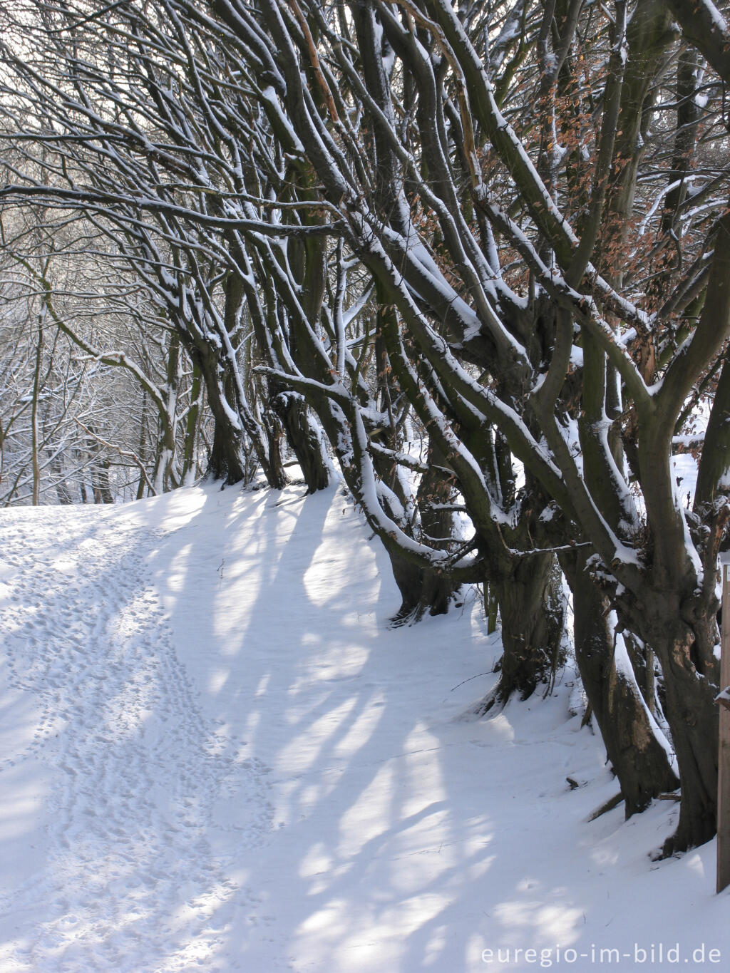 Detailansicht von Im Wurmtal bei Herzogenrath - Klinkheide