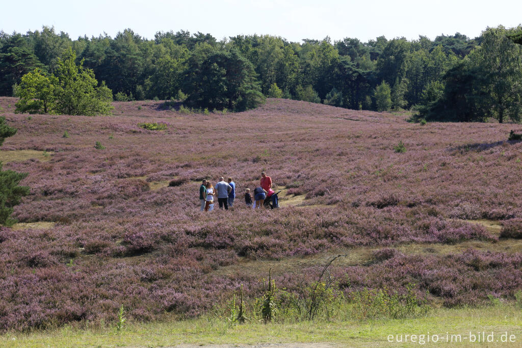 In der Brunssumerheide