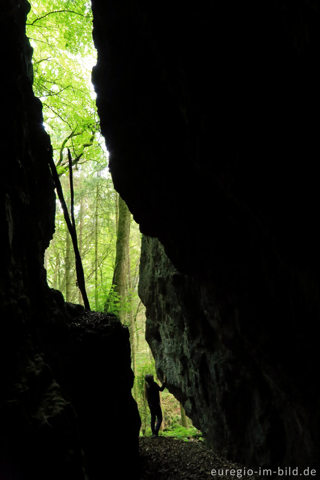 Detailansicht von In der Schönecker Schweiz