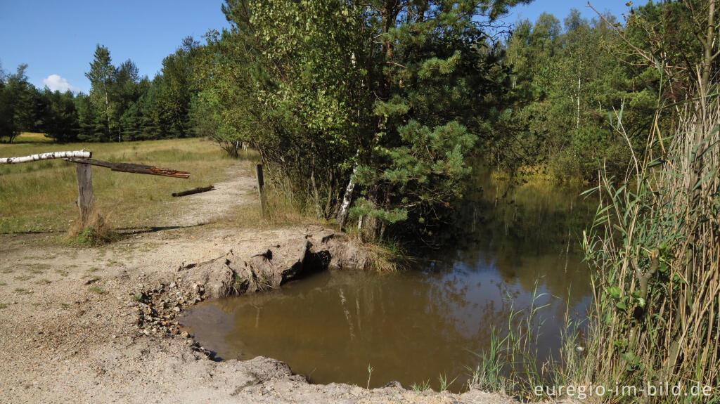 Detailansicht von In der Teverener Heide