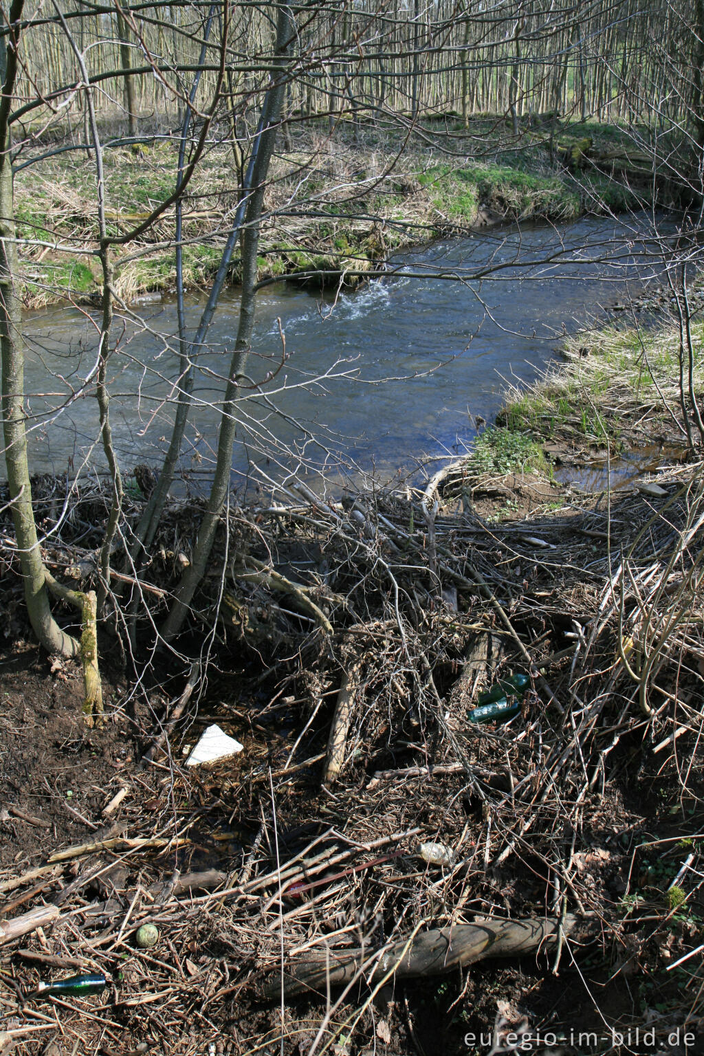 Detailansicht von Inde zwischen Niederforstbach und Krauthausen 