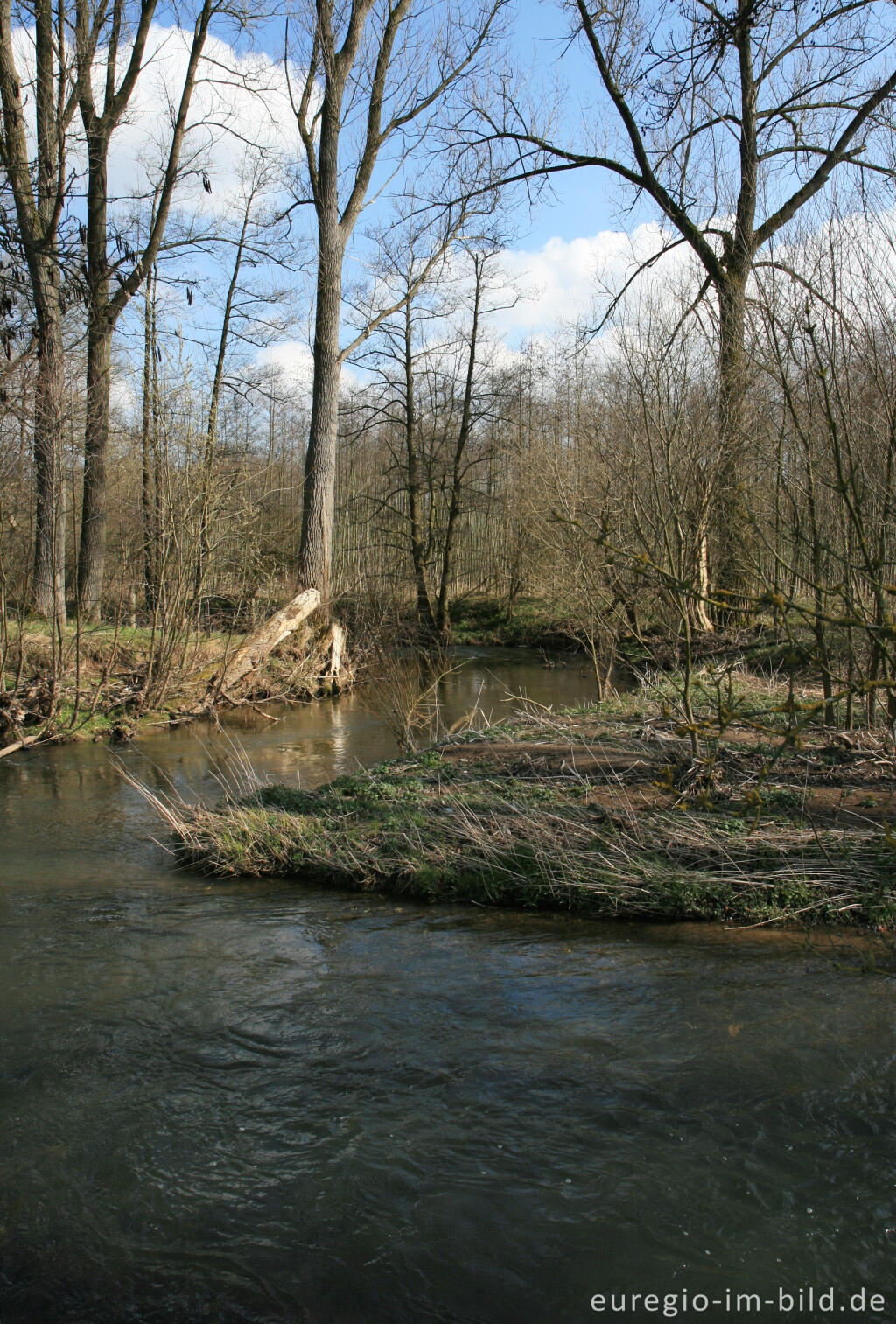 Detailansicht von Inde zwischen Niederforstbach und Krauthausen 