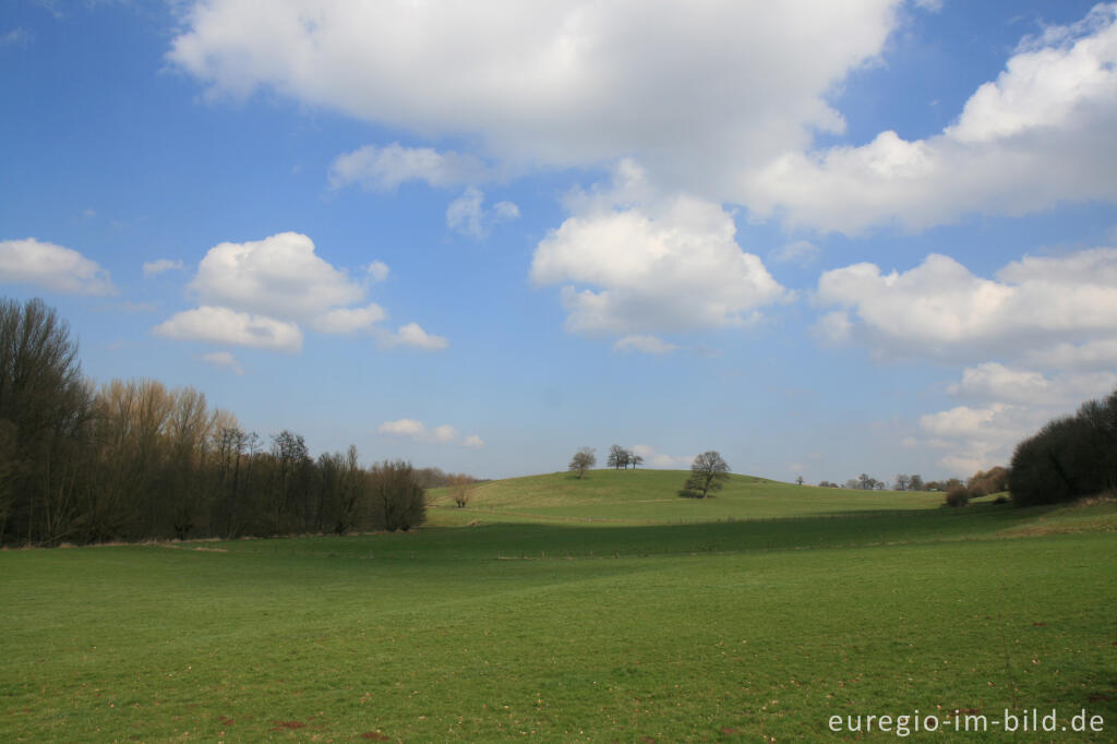 Detailansicht von Indetal zwischen Niederforstbach und Krauthausen 