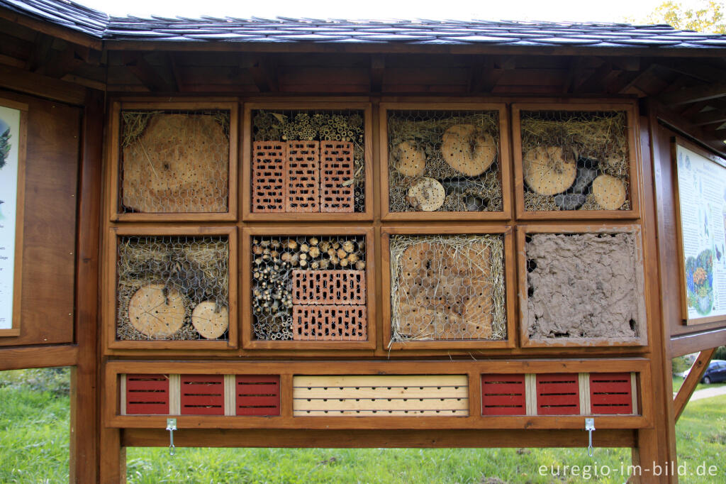 Detailansicht von Insektenhotel beim Kloster Himmerod