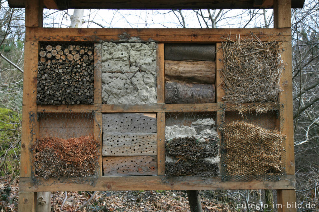 Detailansicht von Insektenhotel im Wurmtal bei Würselen