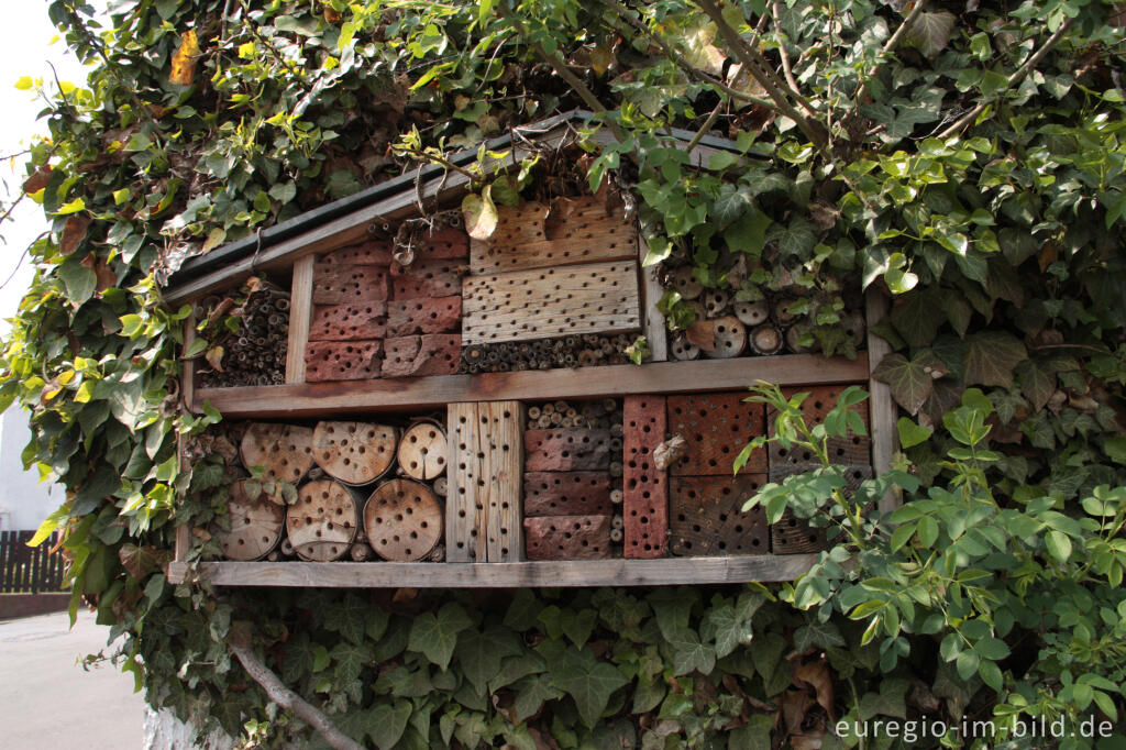 Detailansicht von Insektenhotel in Neroth, Vulkaneifel