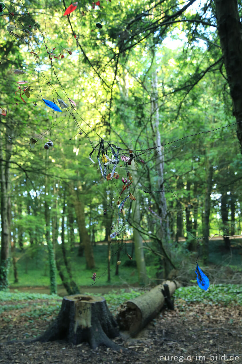 Detailansicht von Installation im Eibenwald auf dem Lousberg, Aachen 2014