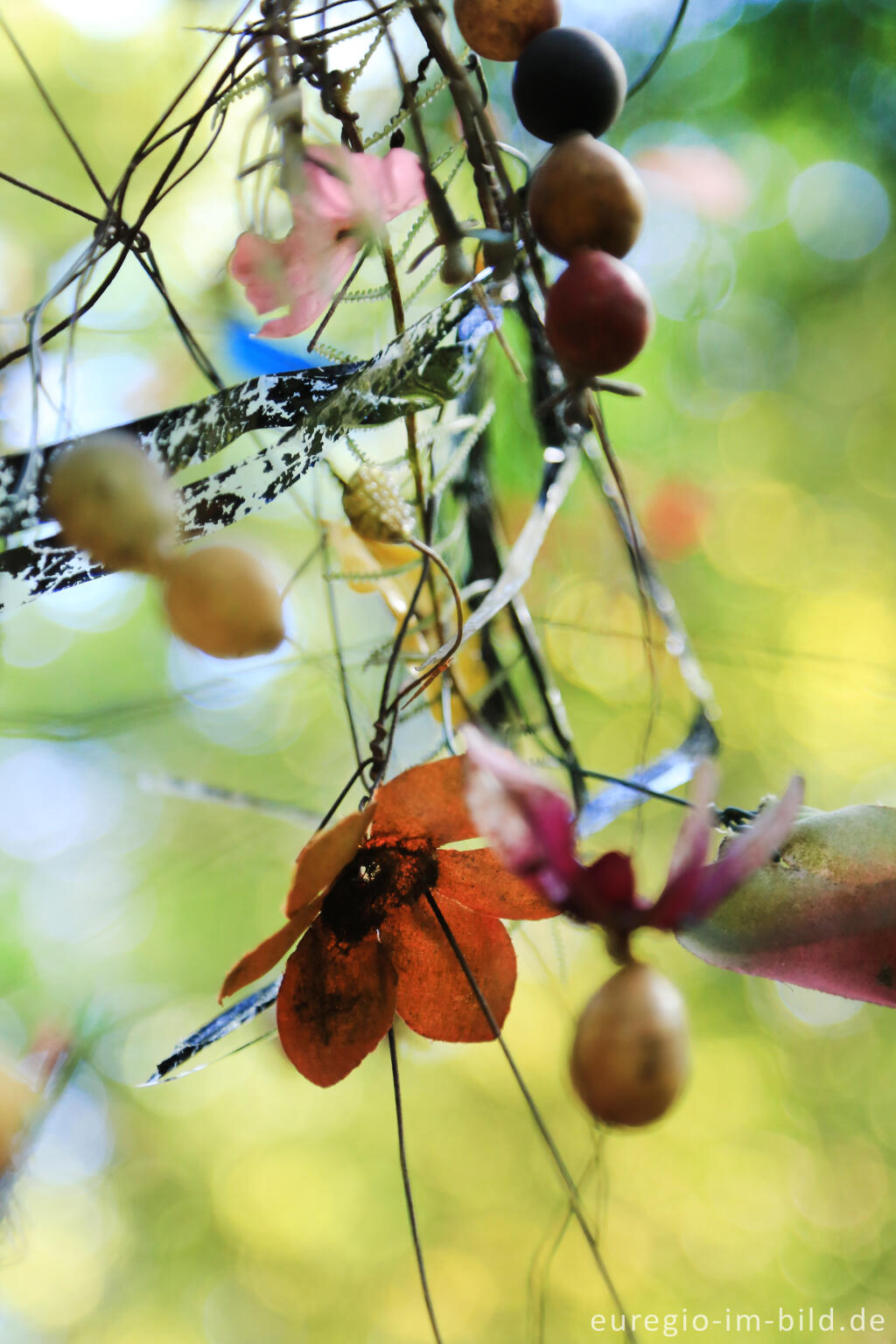 Detailansicht von Installation im Eibenwald auf dem Lousberg, Aachen 2014