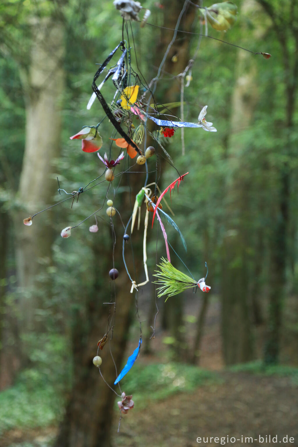 Detailansicht von Installation im Eibenwald auf dem Lousberg, Aachen 2014