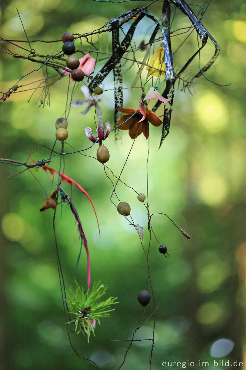 Detailansicht von Installation im Eibenwald auf dem Lousberg, Aachen 2014