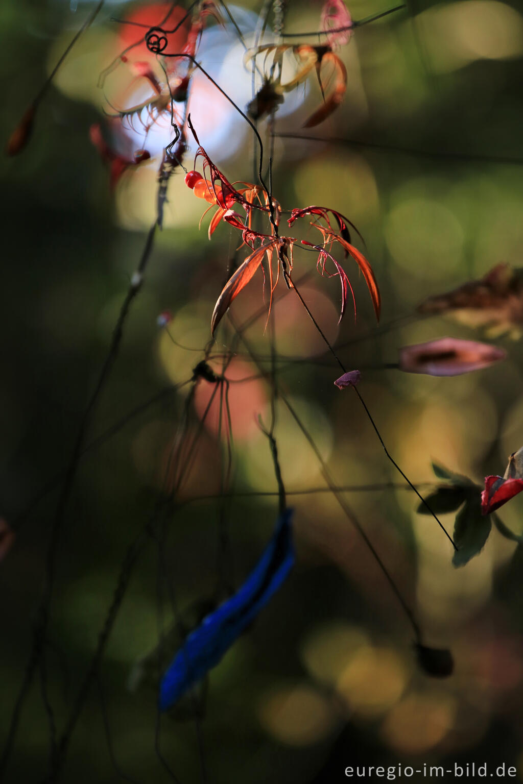 Detailansicht von Installation im Eibenwald auf dem Lousberg, Aachen 2014