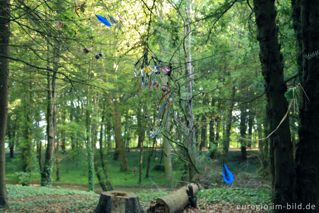 Detailansicht von Installation im Eibenwald auf dem Lousberg, Aachen 2014