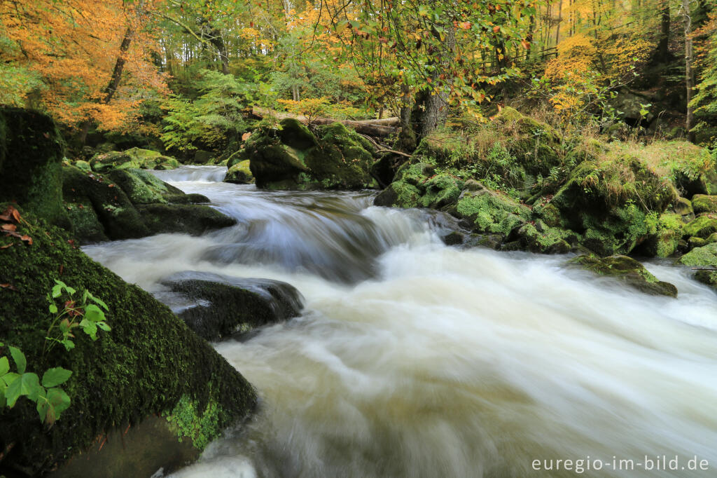 Detailansicht von Irreler Wasserfälle, Stromschnellen der Prüm