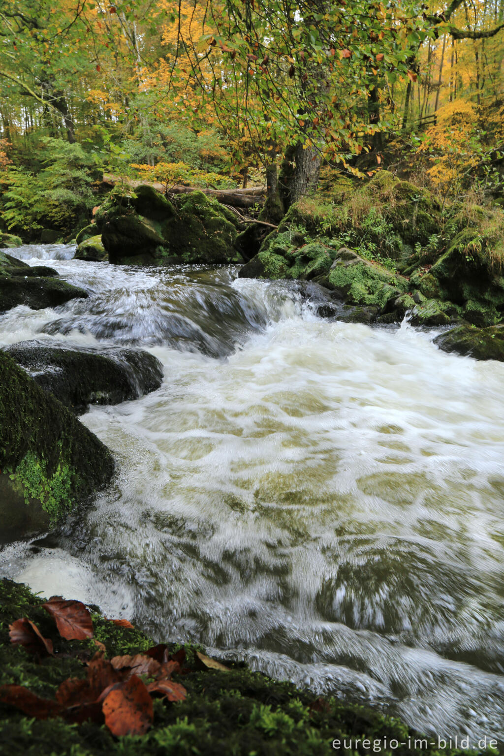 Detailansicht von Irreler Wasserfälle, Stromschnellen der Prüm