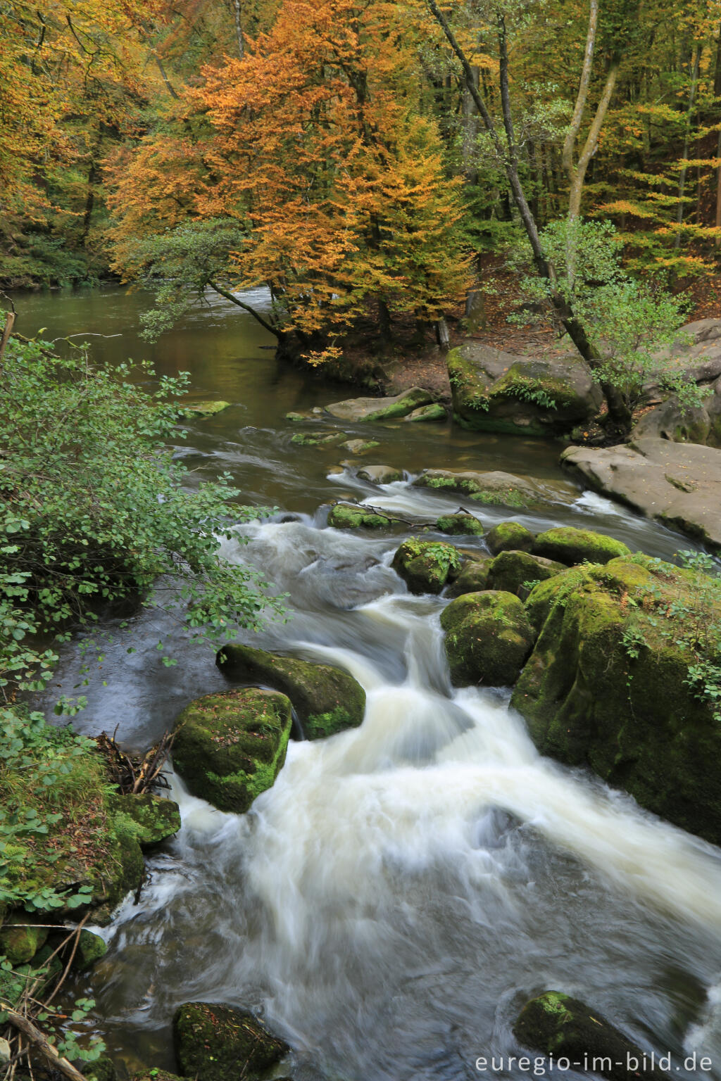 Detailansicht von Irreler Wasserfälle, Stromschnellen der Prüm