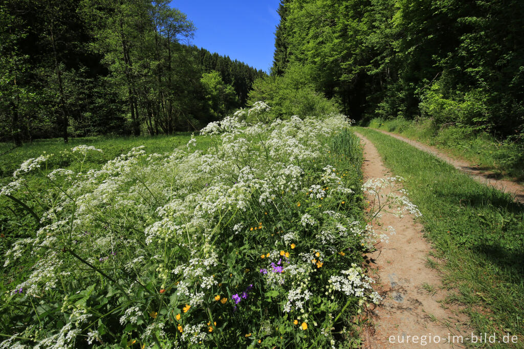 Detailansicht von Irsental zwischen Reipeldingen und Eschfeld