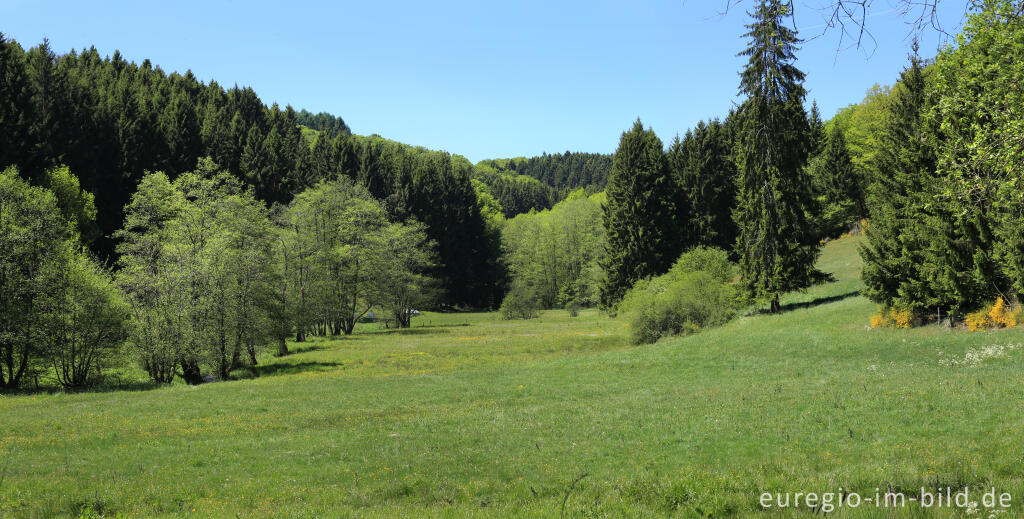 Detailansicht von Irsental zwischen Reipeldingen und Eschfeld