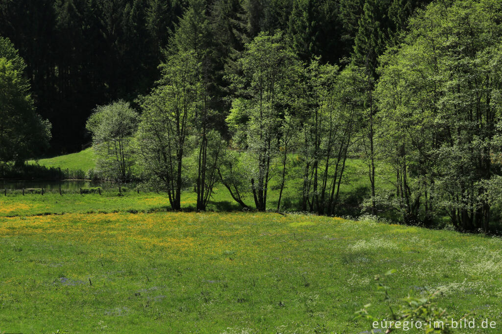 Detailansicht von Irsental zwischen Reipeldingen und Eschfeld