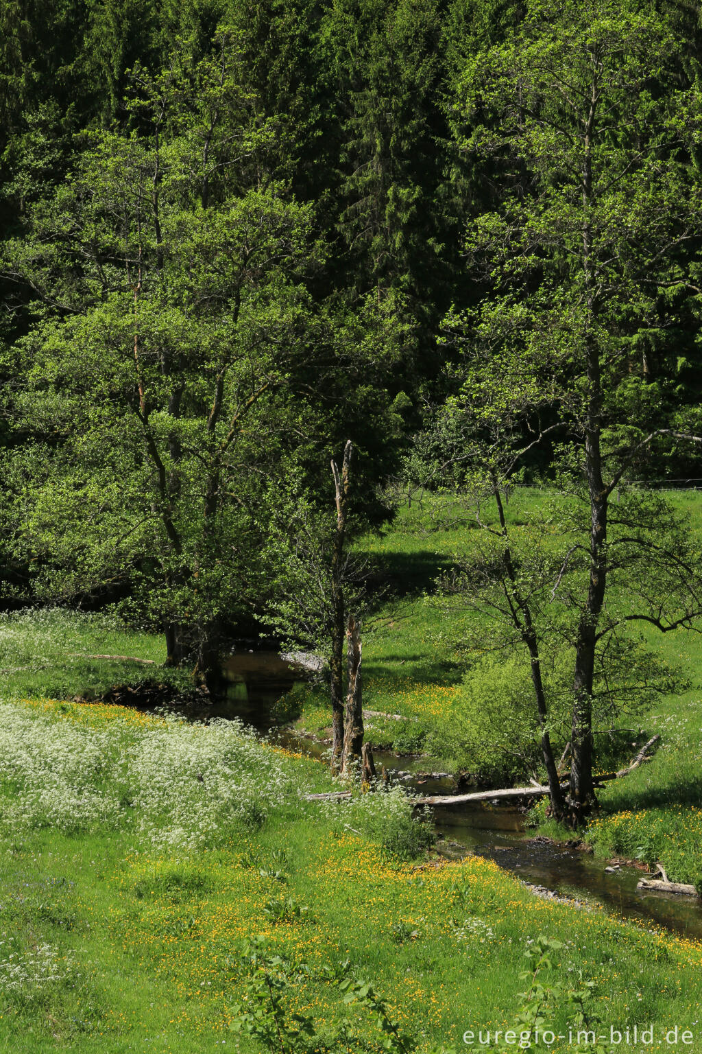 Detailansicht von Irsental zwischen Reipeldingen und Eschfeld