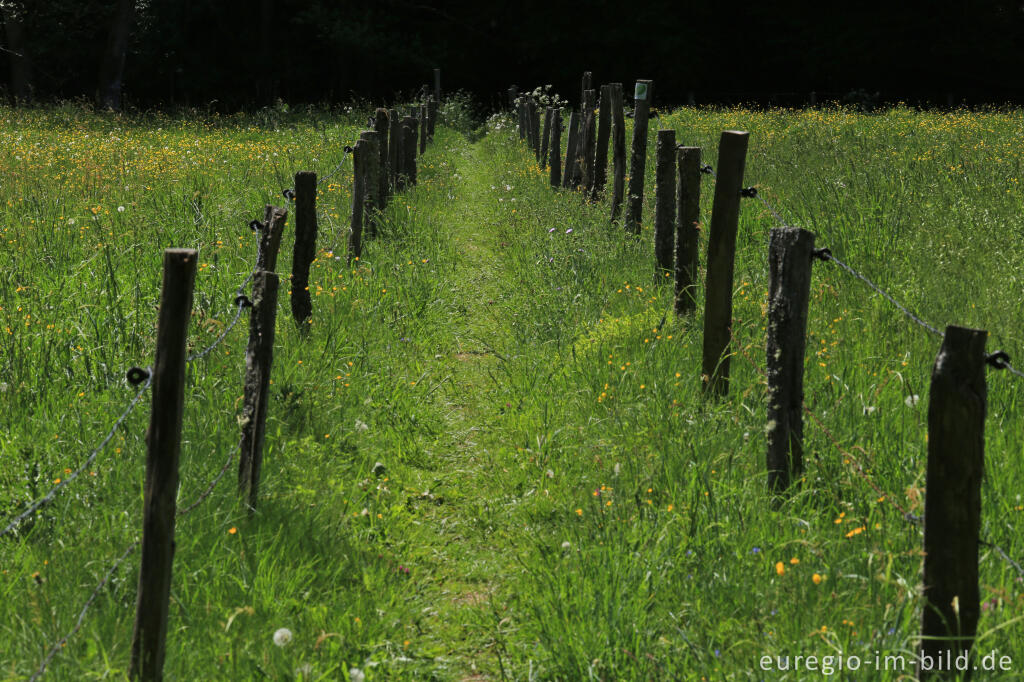 Detailansicht von Irsental zwischen Reipeldingen und Eschfeld