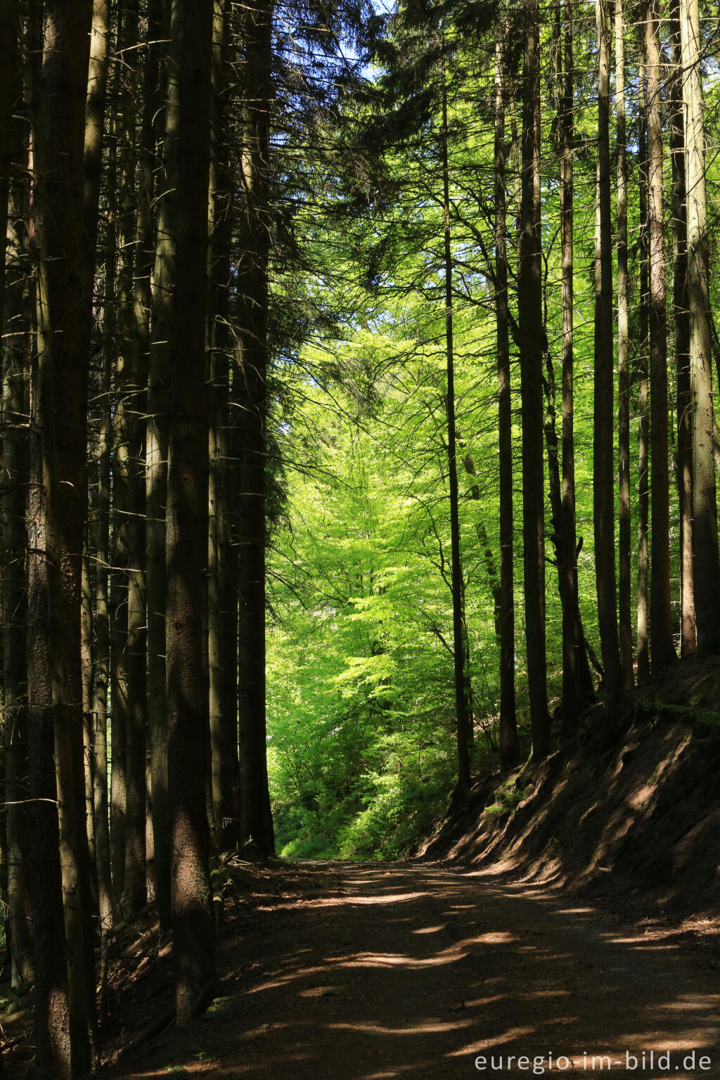 Detailansicht von Irsental zwischen Reipeldingen und Eschfeld