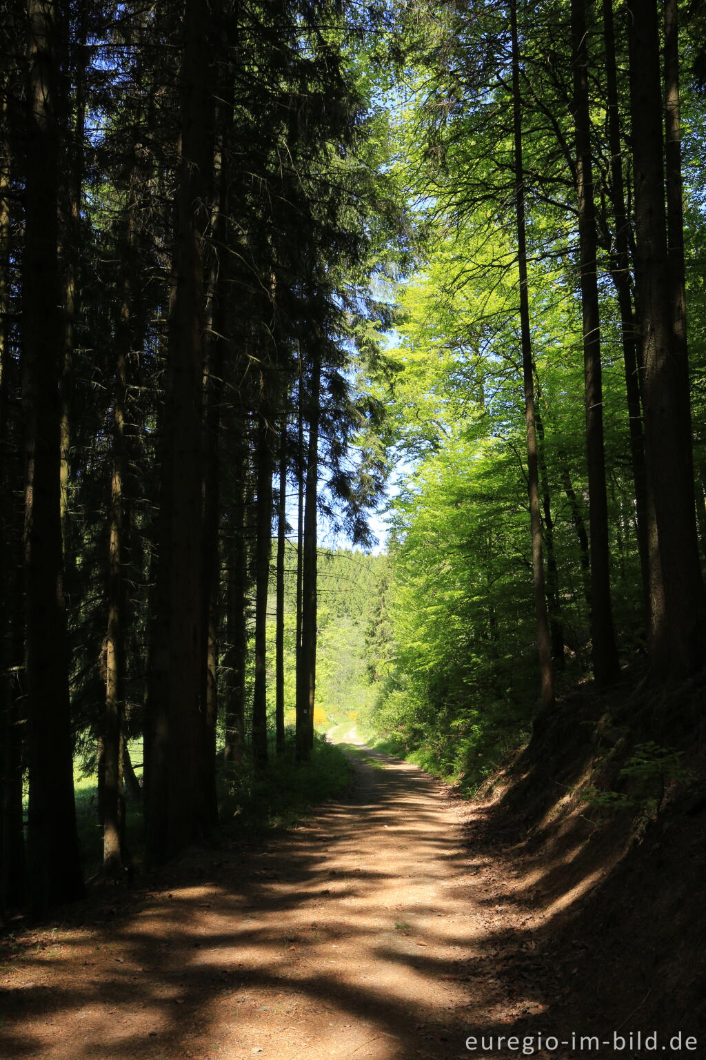 Detailansicht von Irsental zwischen Reipeldingen und Eschfeld