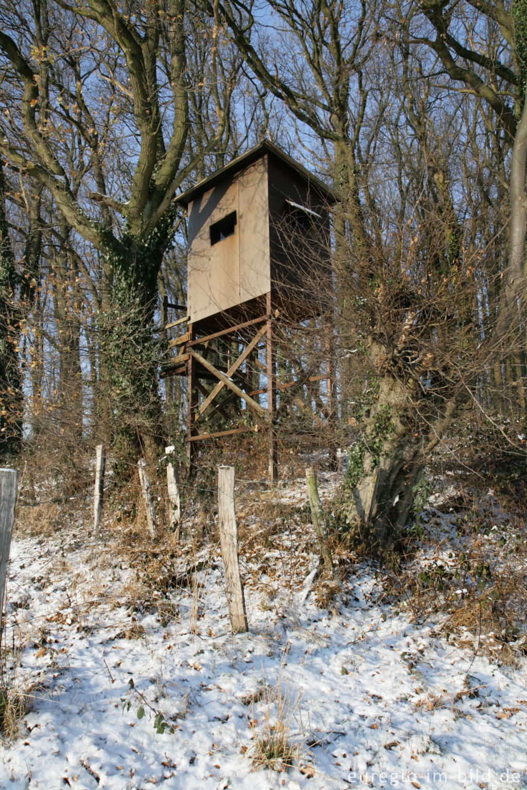 Detailansicht von Jägerstand in der Soers