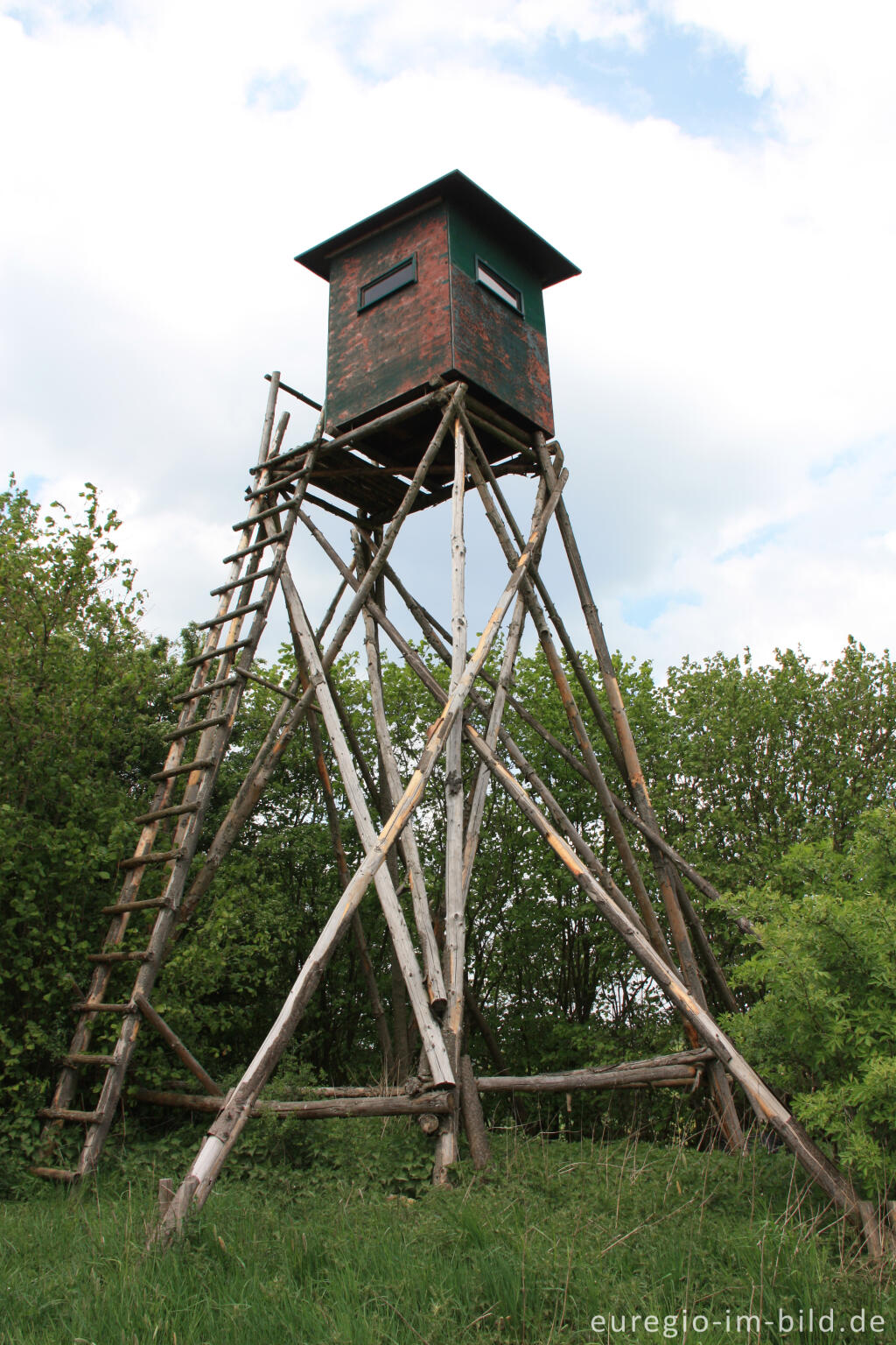 Detailansicht von Jägerstand nördlich von Gerolstein