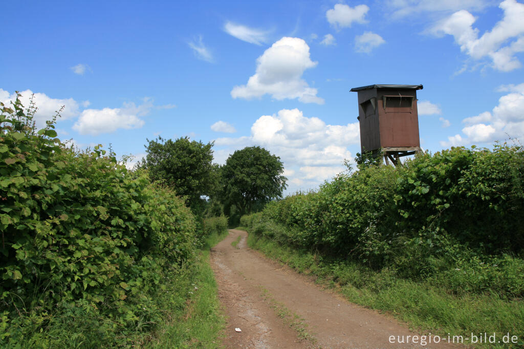 Detailansicht von Jägerstand und Heckenlandschaft bei Hahn